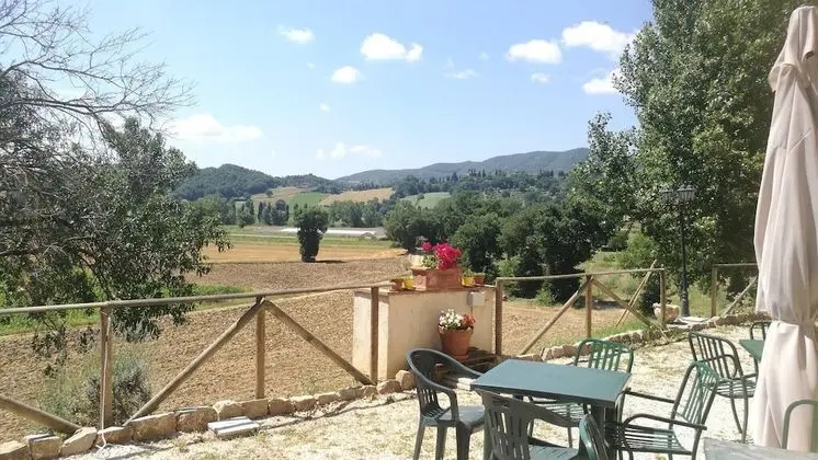 Oda, 1 Yatak Odası, Teras