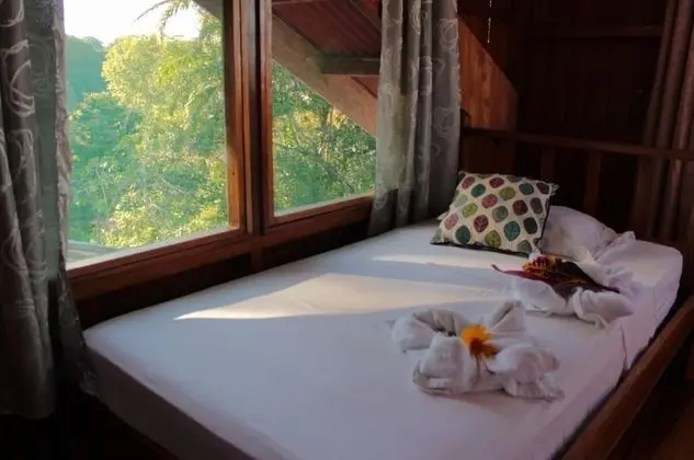 Ortak Ranzalı Oda, 1 Yatak Odası, Teras