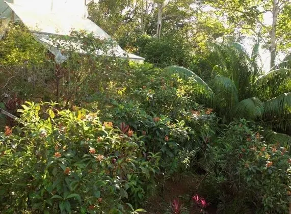 Ortak Ranzalı Oda, 1 Yatak Odası, Teras