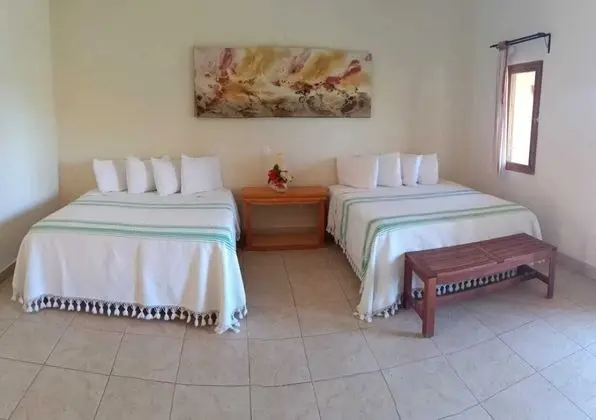 Panoramic Oda, 2 Çift Kişilik Yatak, Teras