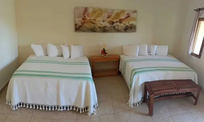 Panoramic Oda, 2 Çift Kişilik Yatak, Teras