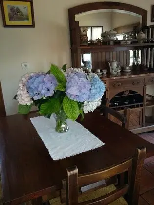 Comfort Ev, 1 Çift Kişilik Yatak, Teras