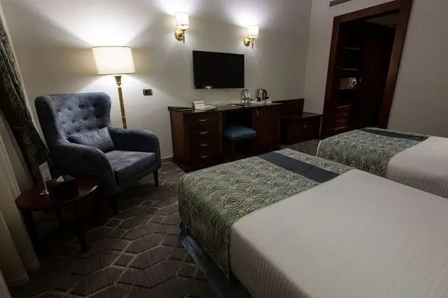 Deluxe Oda, 2 Tek Kişilik Yatak, Sigara İçilmez