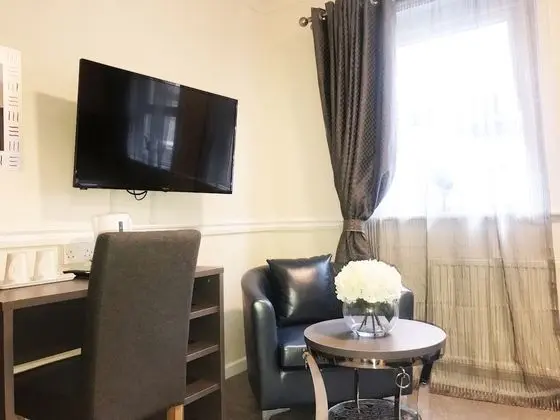 Televizyon
