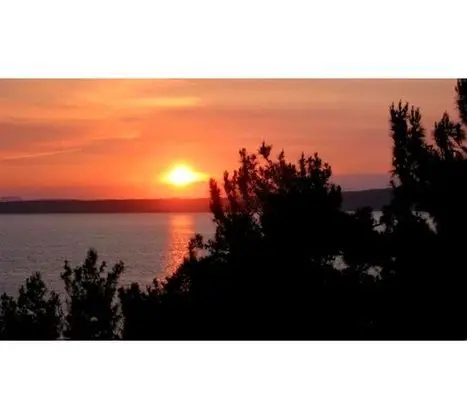 Single Oda İptal Edilemez