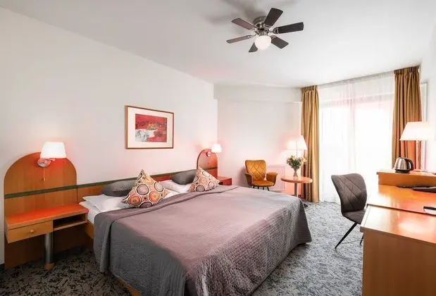 Superior Tek Büyük Yataklı Oda