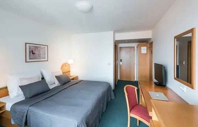 Superior Tek Büyük Yataklı Oda