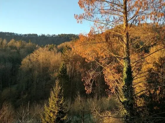 Family Dört Kişilik Oda, Teras, Dağ Manzaralı