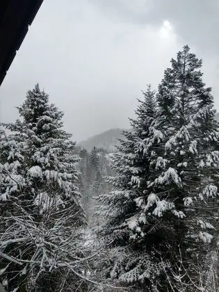 Superior Süit, 2 Yatak Odası, Balkon, Dağ Manzaralı