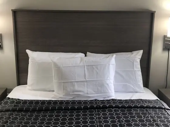 Standard Tek Kişilik Oda, 1 Büyük (Queen) Boy Yatak, Sigara İçilebilir