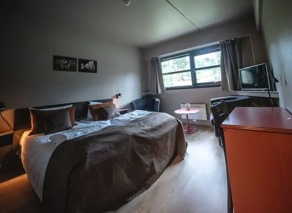 Basic Tek Büyük Yataklı Oda