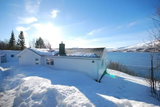 Basic Stüdyo Süit, 1 Yatak Odası, Mutfak, Okyanus Manzaralı (Håkøyveien 151)