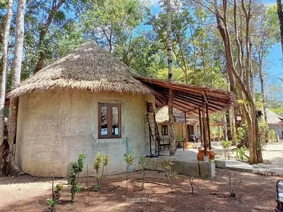 Deluxe Bungalov