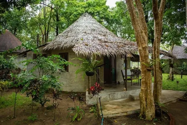Deluxe Bungalov