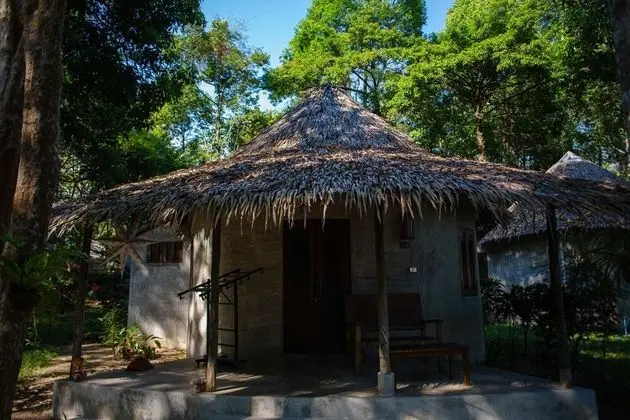 Deluxe Bungalov