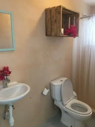 Standard Stüdyo, 1 En Büyük (King) Boy Yatak, Havuz Manzaralı, Havuz Kenarı