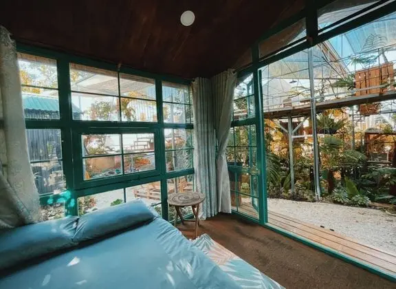 Deluxe Tek Büyük Yataklı Oda (Cosy)