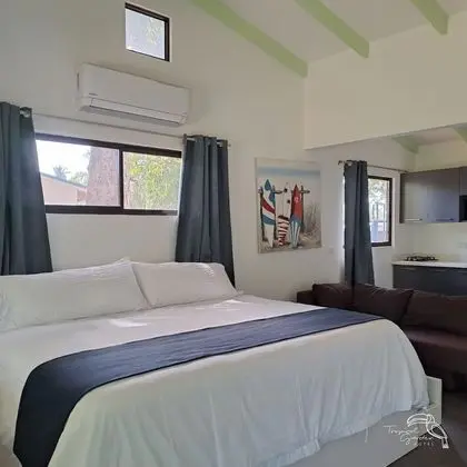 Deluxe Apart Daire, Engellilere Uygun, Sigara İçilmez