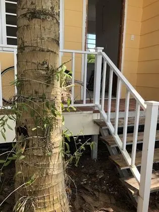 Deluxe Bungalov