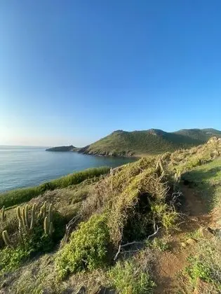 Villa, Birden Çok Yatak