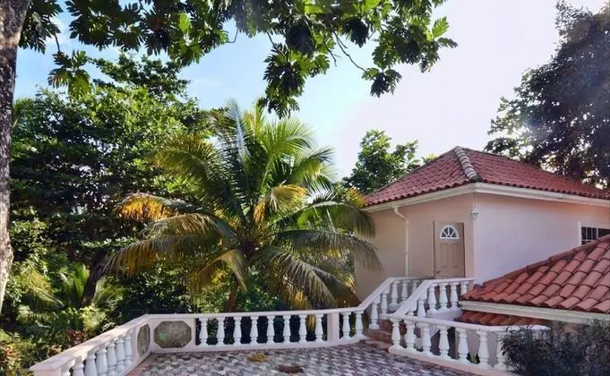 Deluxe King Room (Plantain)