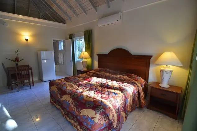 Deluxe King Room (Plantain)