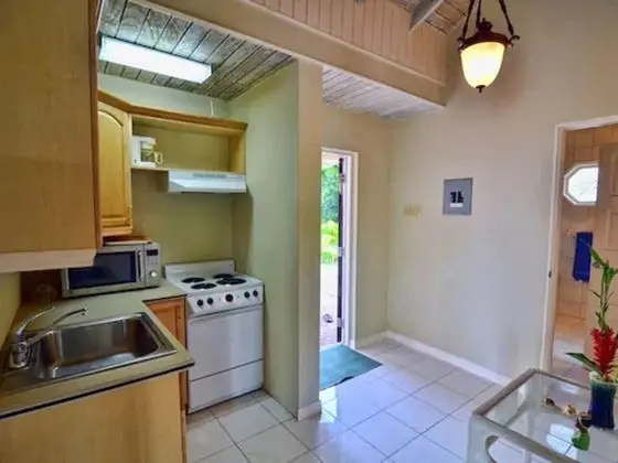 Suite King Room (East Indian)