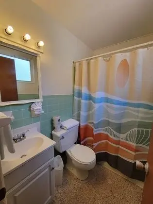 1 bedroom with kitchen (203)