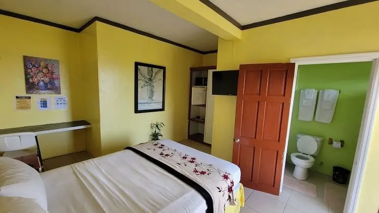 Business Tek Kişilik Oda, Deniz Manzaralı (Room 1)
