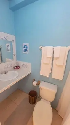 Business Tek Kişilik Oda, Deniz Manzaralı (Room 1)