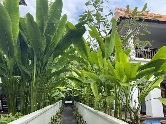 Villa, 4 Yatak Odası, Kişiye Özel Havuzlu, Bahçe Manzaralı