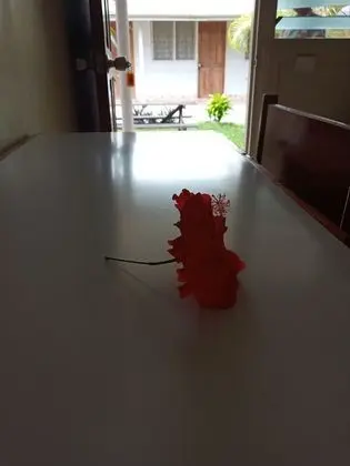 Tek Kişilik Oda