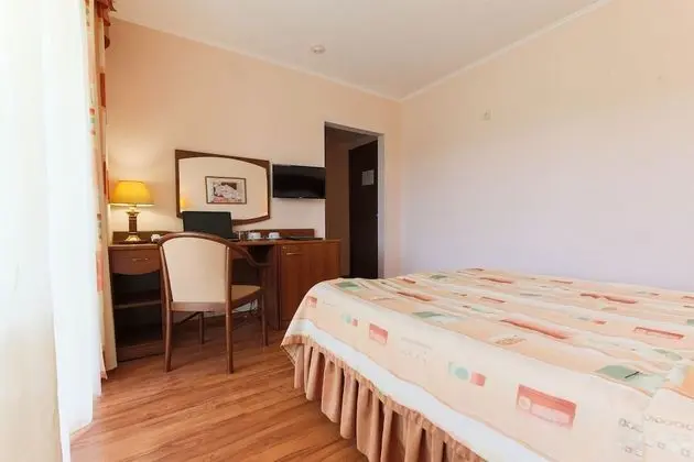 Superior Tek Büyük Yataklı Oda