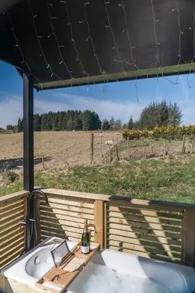 Deluxe Kulübe, Banyolu/Duşlu (Cabin)