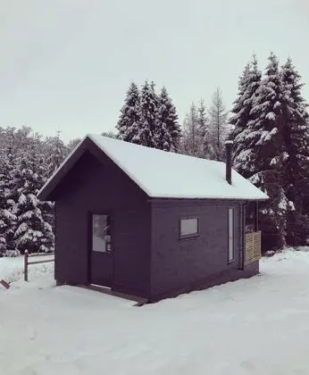 Deluxe Kulübe, Banyolu/Duşlu (Cabin)