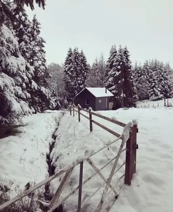 Deluxe Kulübe, Banyolu/Duşlu (Cabin)