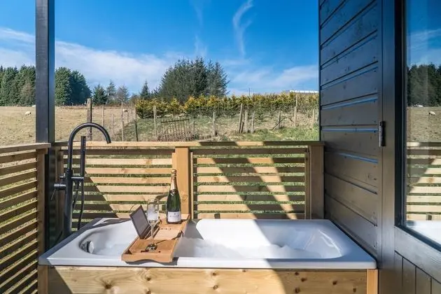 Deluxe Kulübe, Banyolu/Duşlu (Cabin)