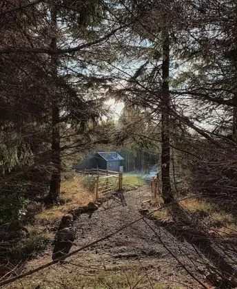 Deluxe Kulübe, Banyolu/Duşlu (Cabin)