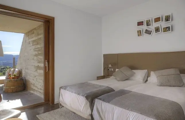 Tek Büyük Yataklı Oda, Teras, Dağ Manzaralı