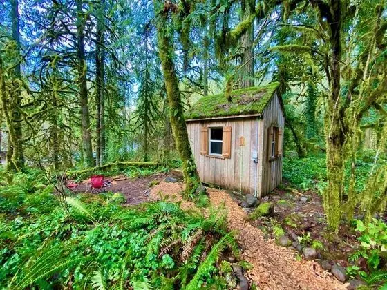 Sleeper Cabin 1 - Bald Eagle