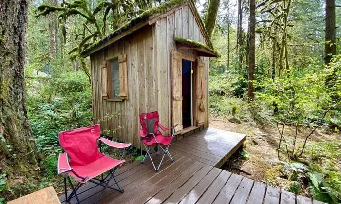 Sleeper Cabin 2 - Chinook Salmon
