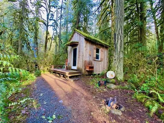 Sleeper Cabin 3 - White Rabbit