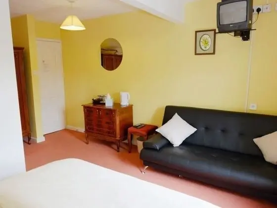 Tek Büyük Yataklı Oda, Banyolu/Duşlu (Bed Settee )