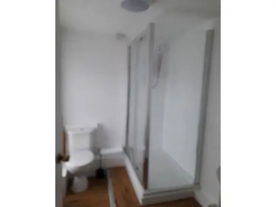 Tek Büyük Yataklı Oda, Banyolu/Duşlu (Bed Settee )