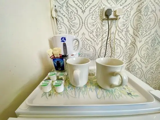 Standard Tek Büyük Yataklı Oda, Banyolu/Duşlu (Small Double, Small Room)