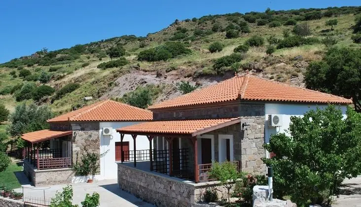 Traditional Çatı Katı (Loft), 3 Tek Kişilik Yatak, Bahçe Manzaralı