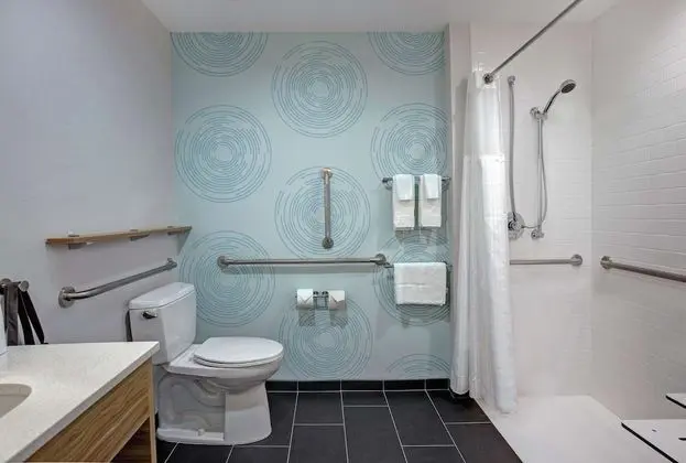 Oda, 1 En Büyük (King) Boy Yatak, Engellilere Uygun (Roll-In Shower)
