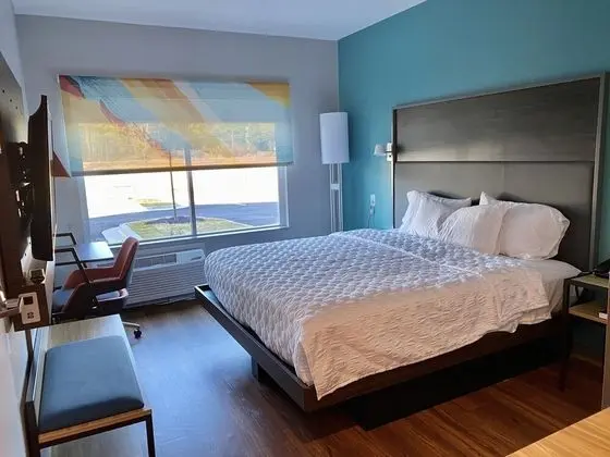 Oda, 1 En Büyük (King) Boy Yatak