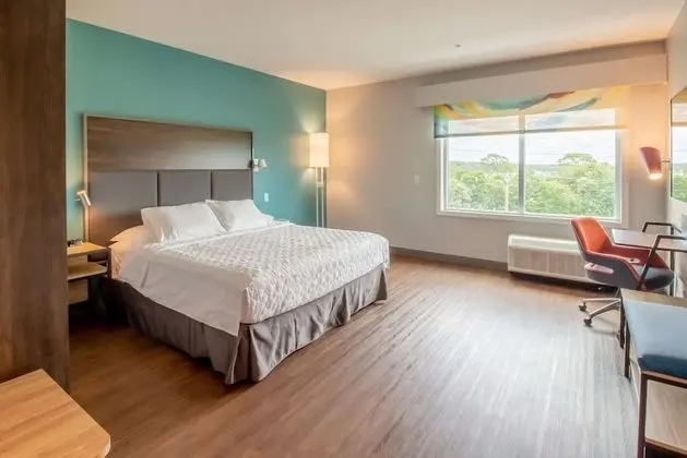 Oda, 1 En Büyük (King) Boy Yatak, Engellilere Uygun, Küvet