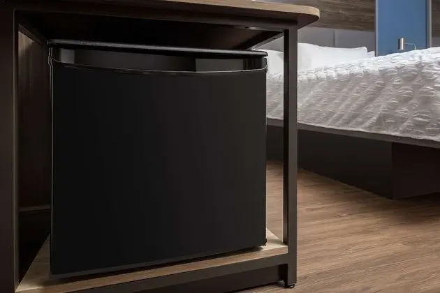 Standard Oda, 1 En Büyük (King) Boy Yatak, Engellilere Uygun (Roll-In Shower)